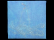 shigella